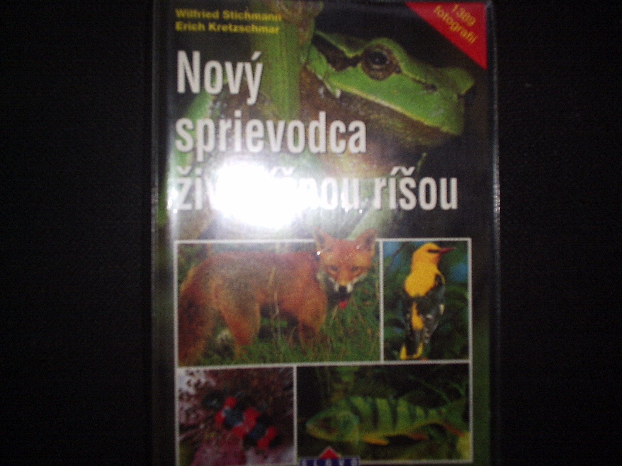 P1010026.JPG